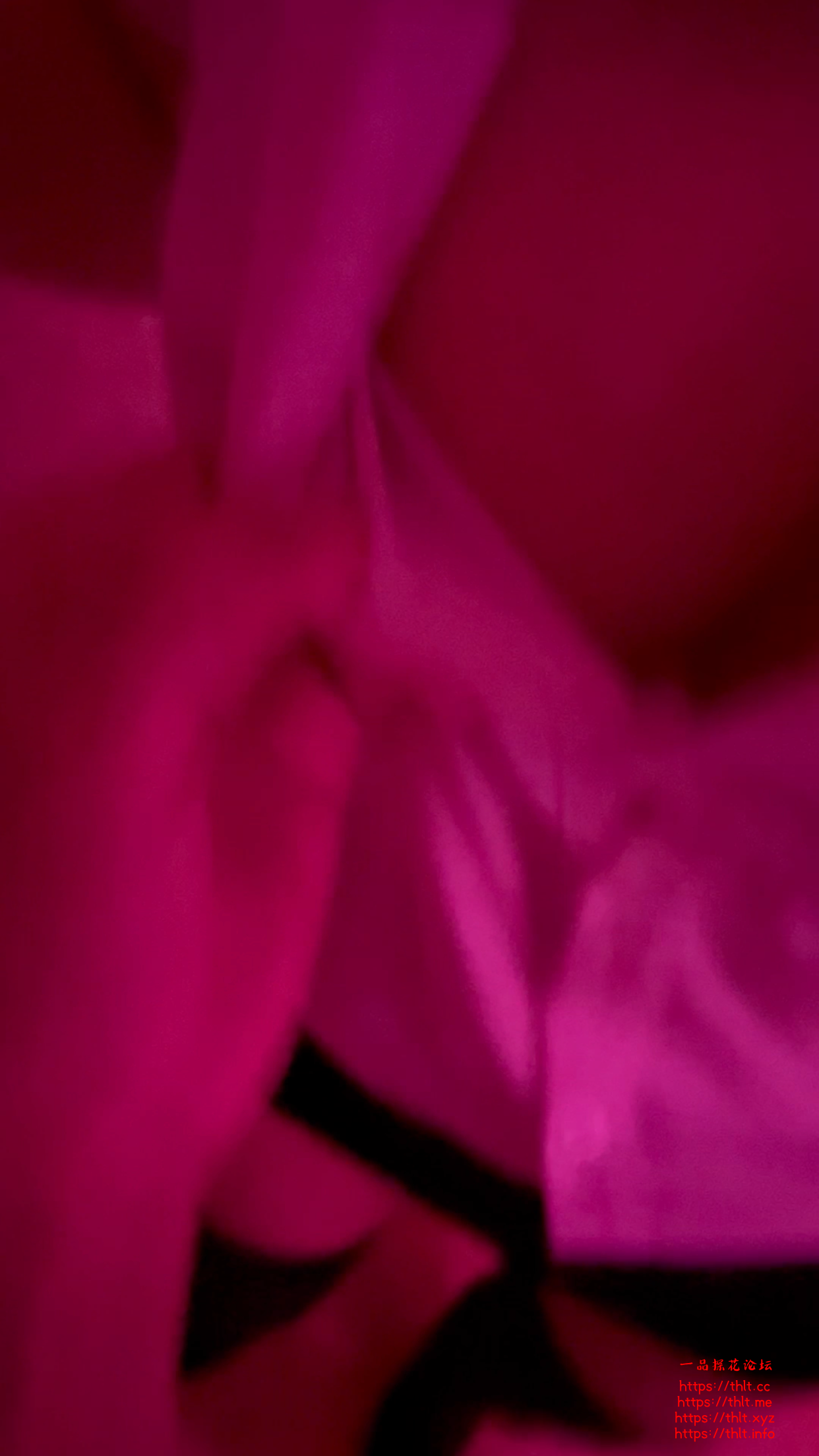 IMG_2554.png